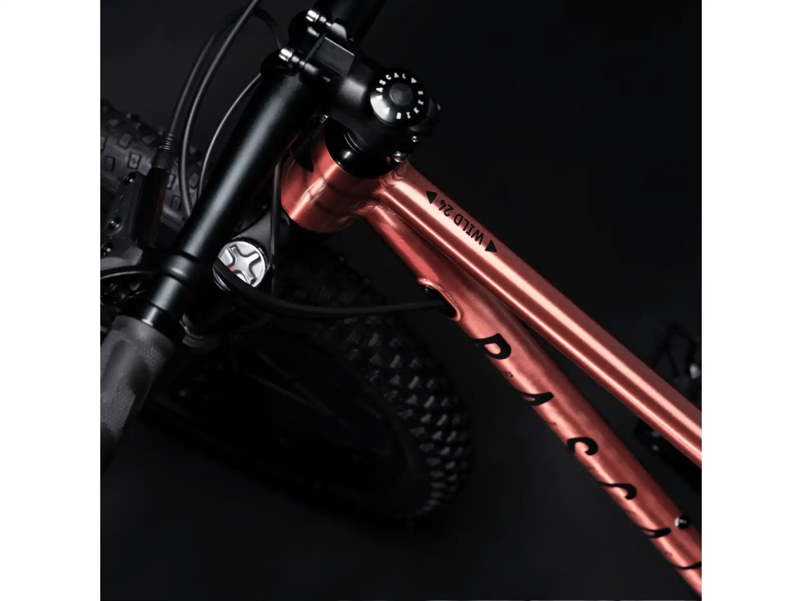 Rascal Wild 24 children's bike Bronze