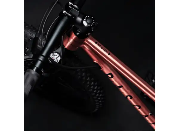 Rascal Wild 24 children's bike Bronze