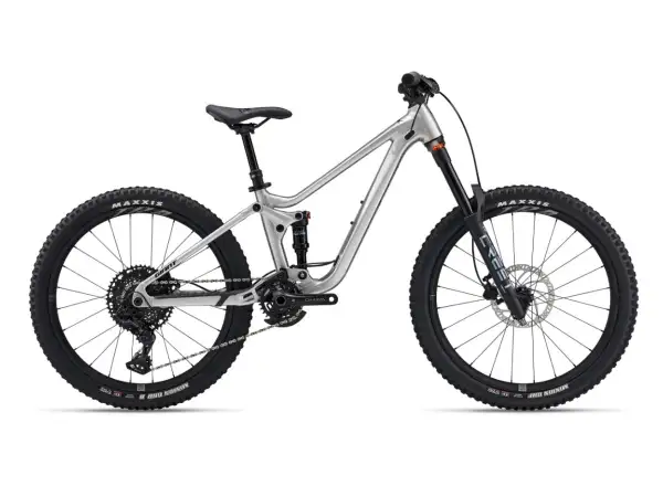 Giant Faith 24 children's full suspension bike Raw Aluminium