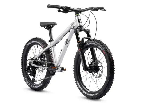 Early Rider Charger 20 children's bike Brushed 2026