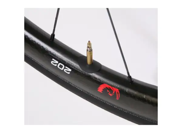 RRP Valve Guard valve protection