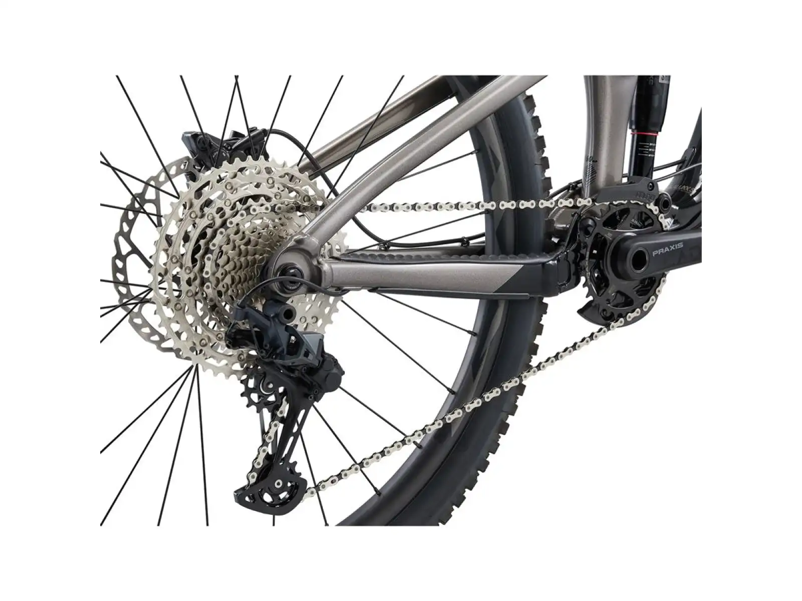 Giant Reign 2 mountain bike black/metal