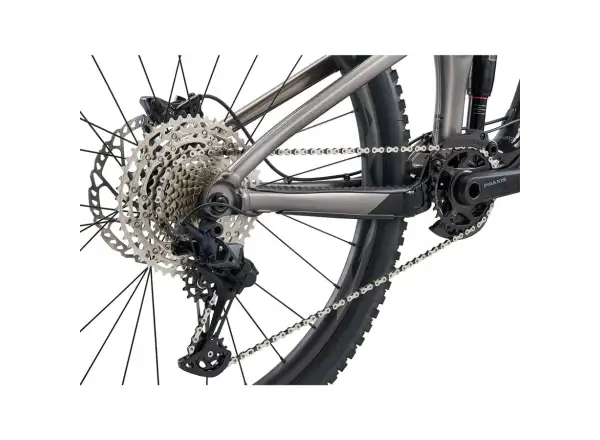 Giant Reign 2 mountain bike black/metal