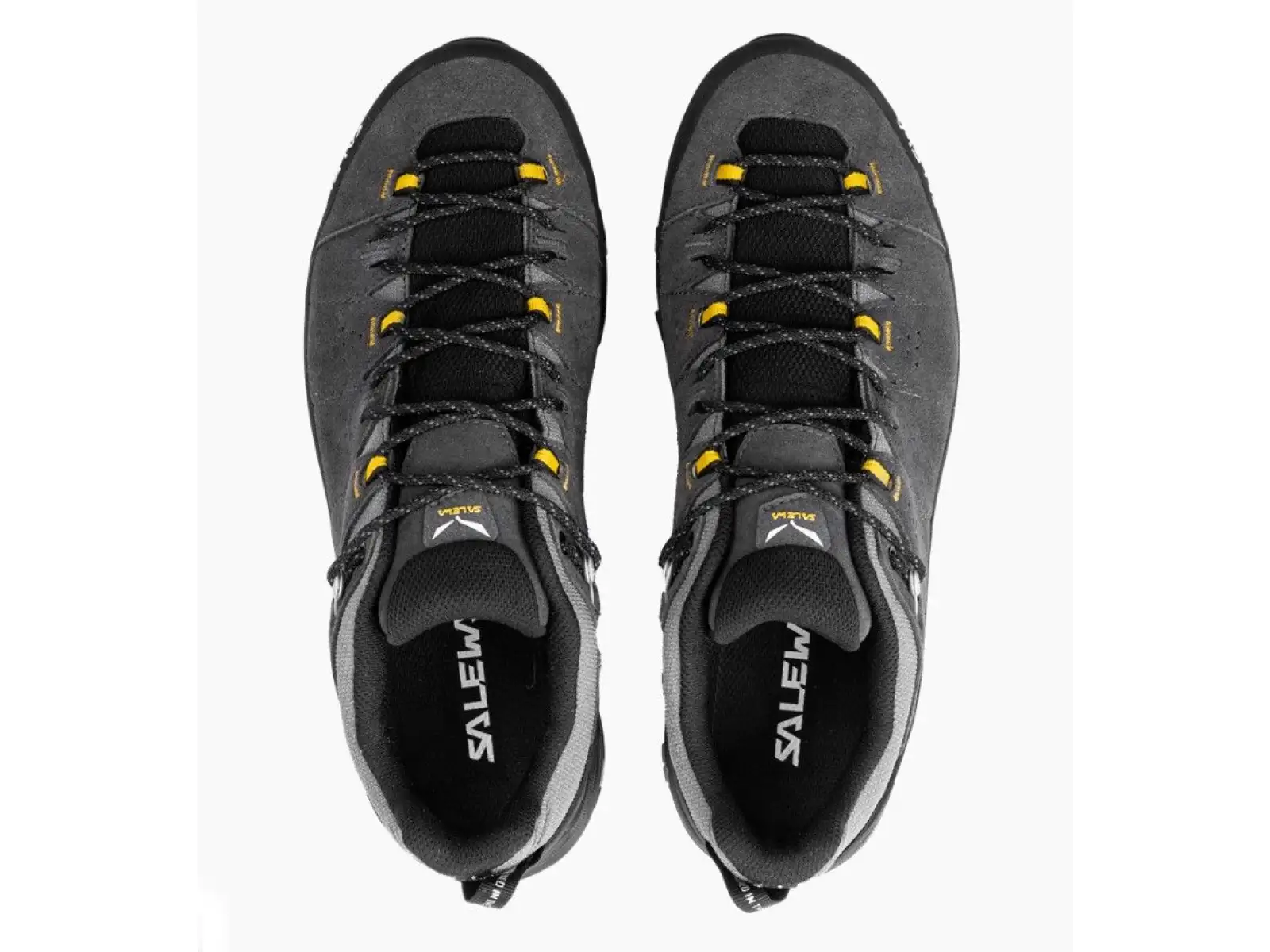 Salewa Alp Trainer 2 GTX men's shoes Onyx Black