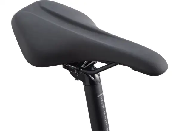 Giant Roam 2 Disc Black trekking bike