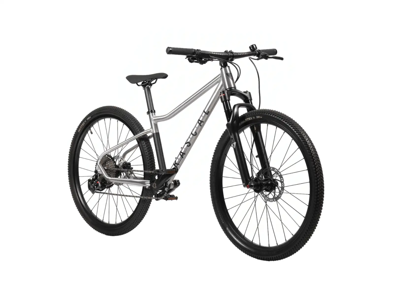 Rascal Wild 27 Limited children's bike Silver