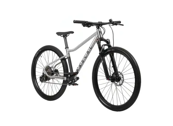Rascal Wild 27 Limited children's bike Silver