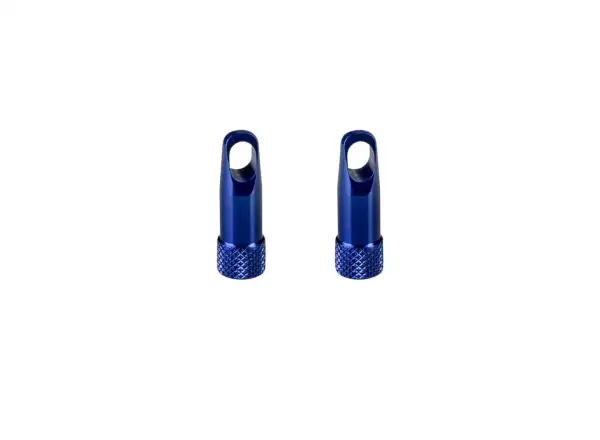 Force valve caps with key blue