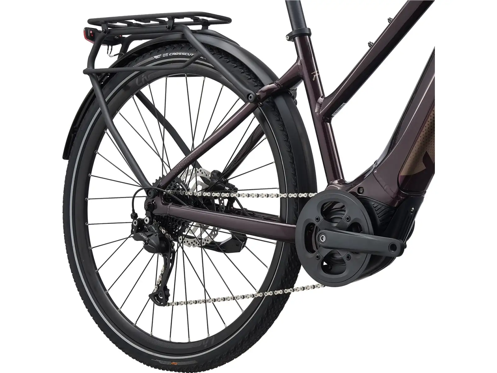 Liv Amiti E+2 trekking e-bike rosewood