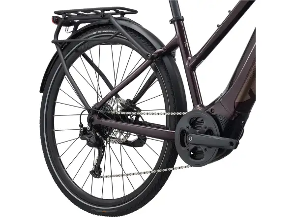 Liv Amiti E+2 trekking e-bike rosewood