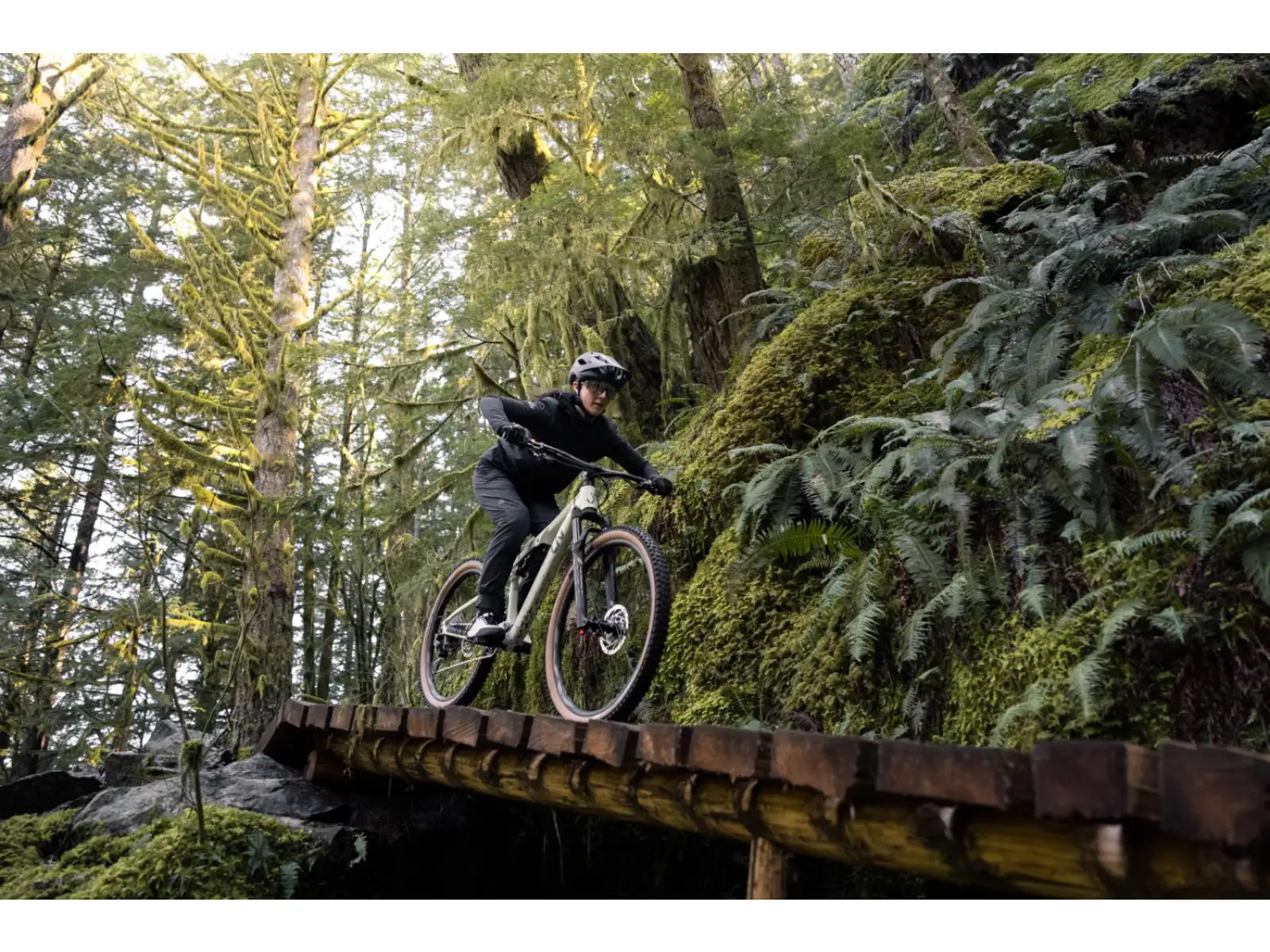 Liv Embolden 2026 mountain bike Pale Moss