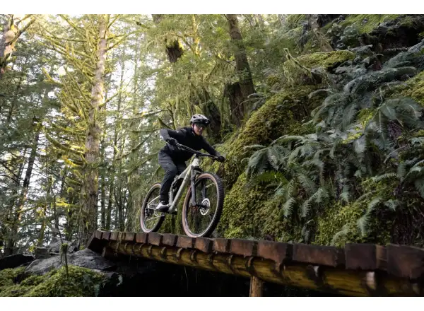Liv Embolden 2026 mountain bike Pale Moss