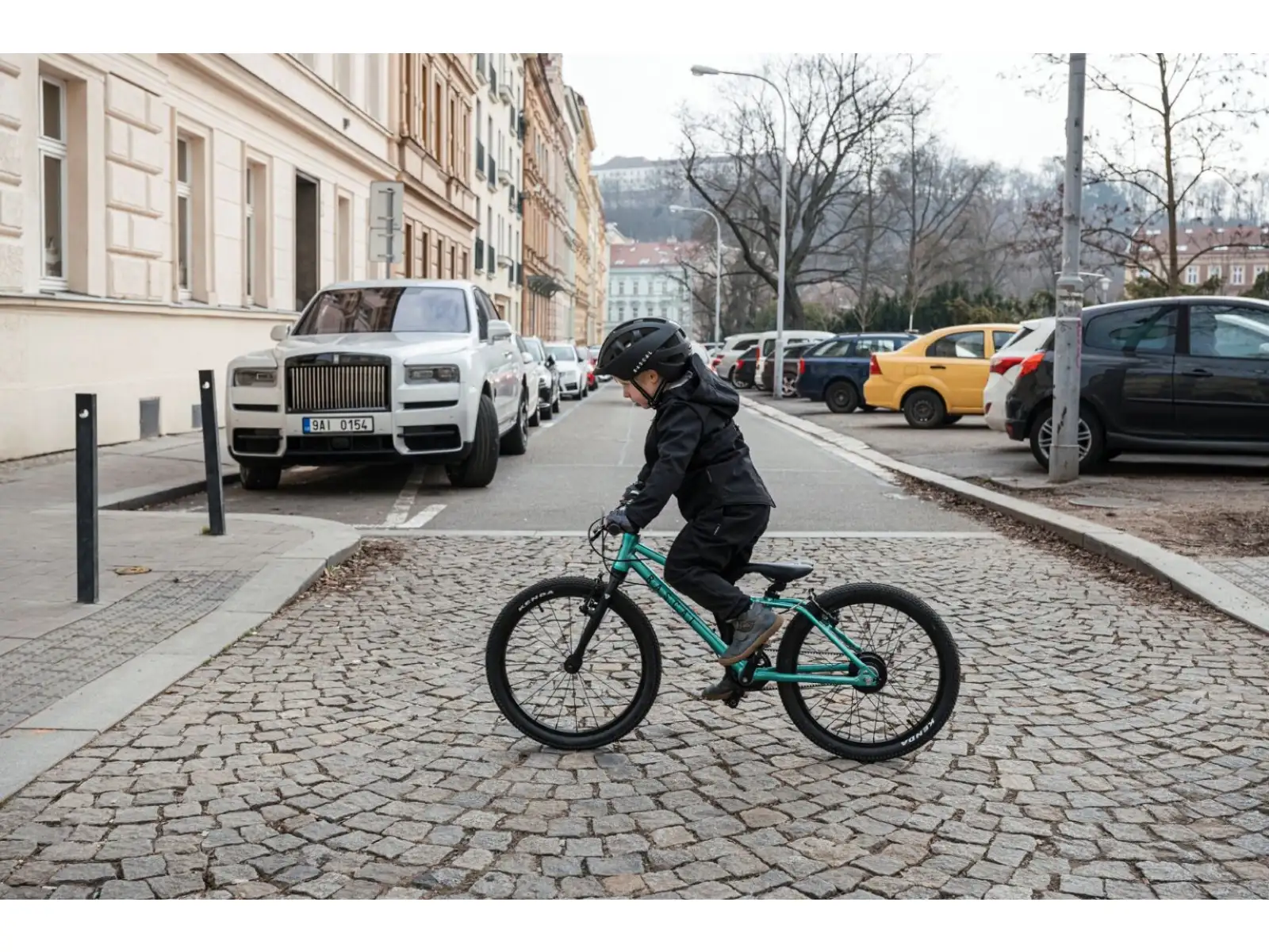 Rascal 20 Limited kids bike Emerald