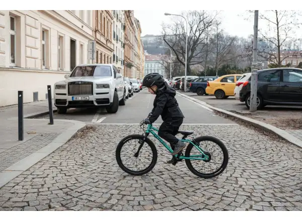 Rascal 20 Limited kids bike Emerald