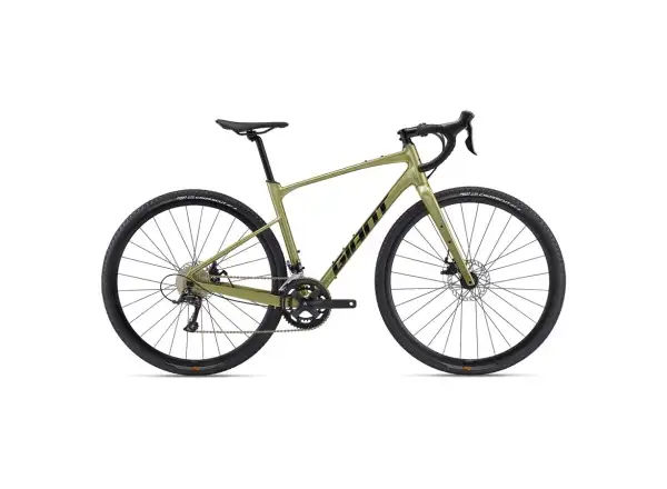 Giant Revolt 2 gravel bike Bay Leaf