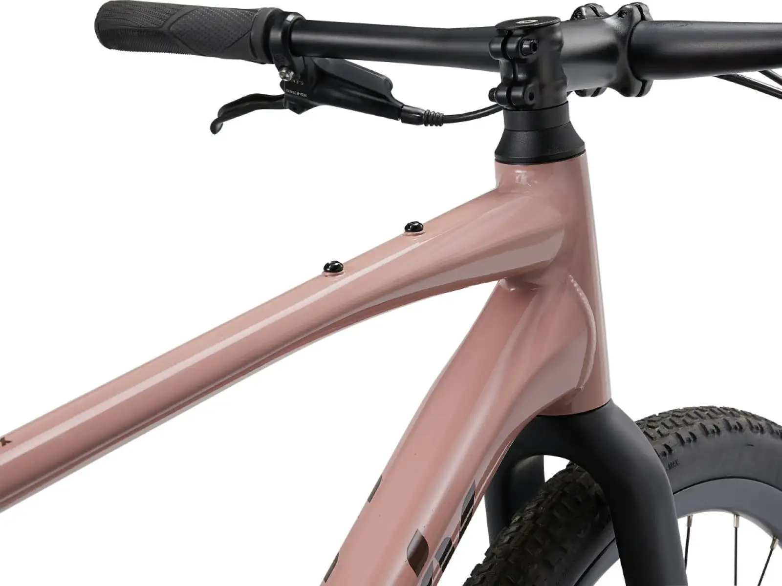 Liv Thrive GX fitness bike petra clay