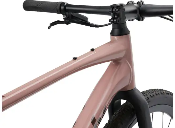 Liv Thrive GX fitness bike petra clay