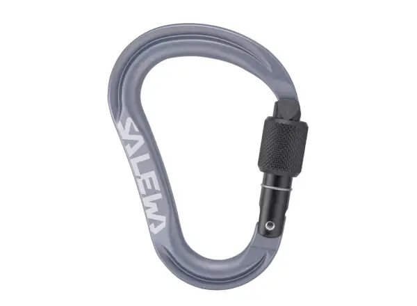Salewa Ortles HMS Screw carabiner M Grey