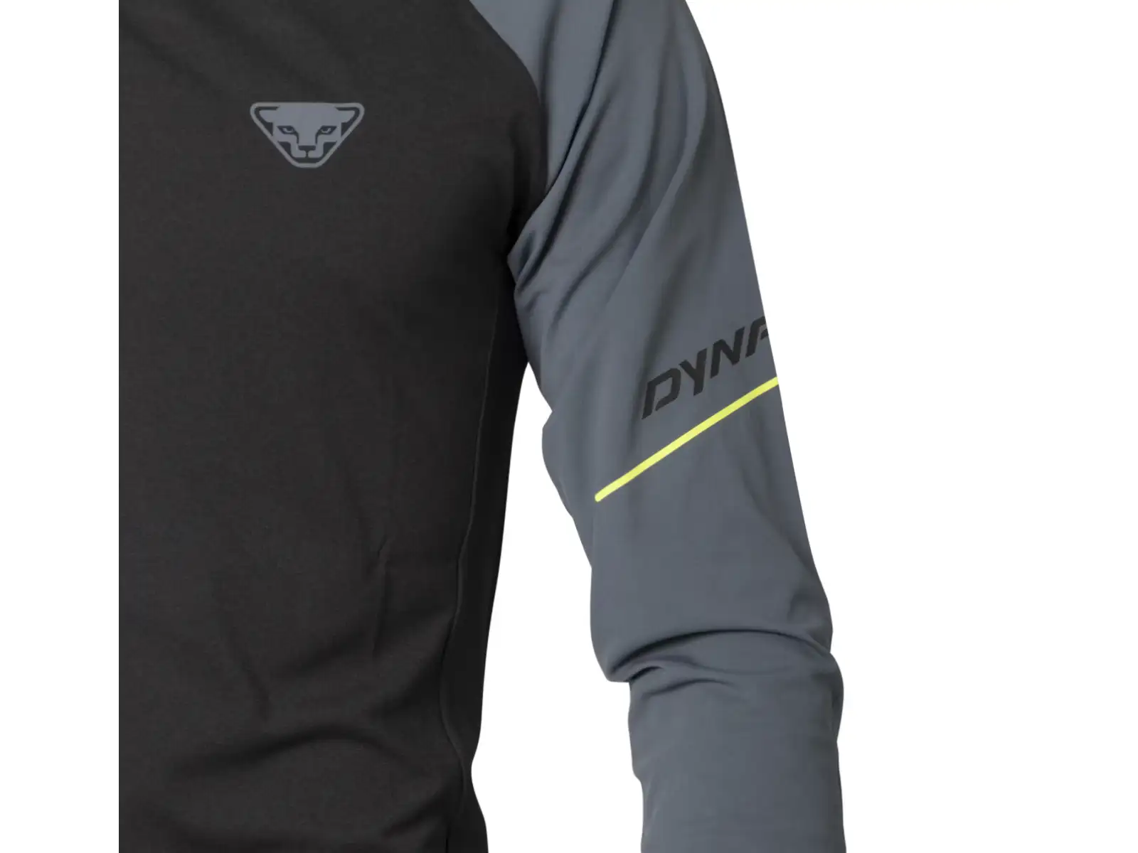 Dynafit Alpine Pro men's shirt long sleeve Cinder