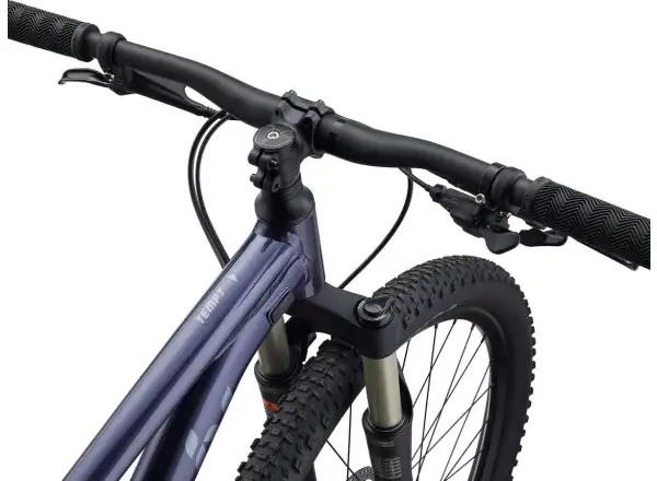 Liv Tempt 29 1 mountain bike Milky Way