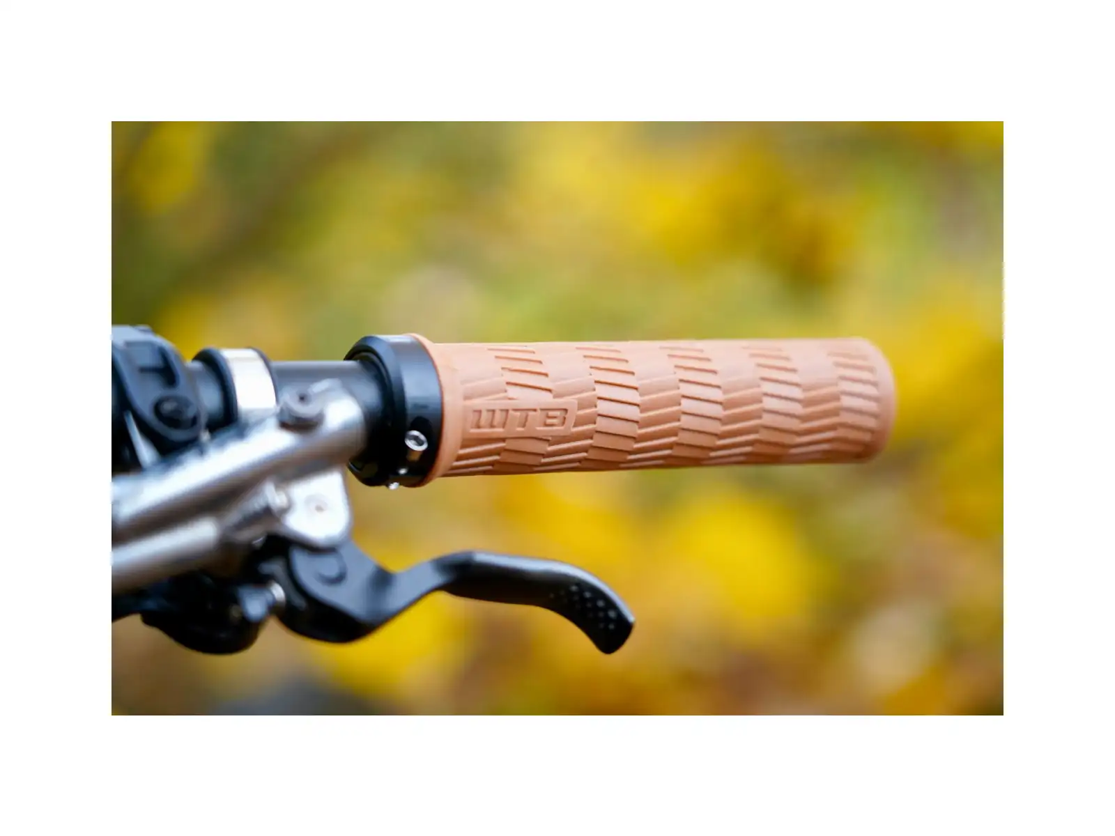 WTB Burr Single Clamp grips beige