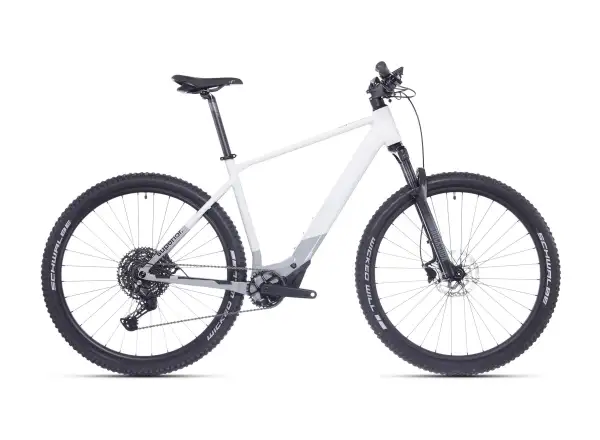 Superior iXP 6.5 mountain e-bike Gloss Grey