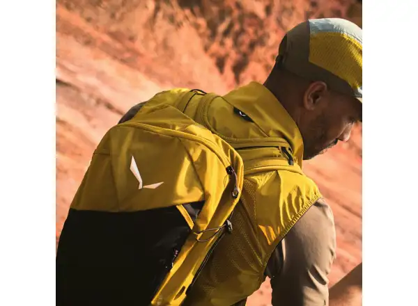Salewa Pedroc Active backpack 12 l Faded green