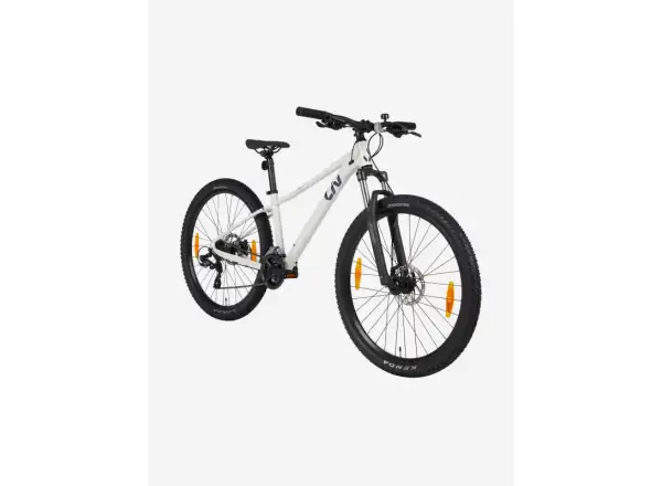 Liv Tempt 5 mountain bike Snow Drift