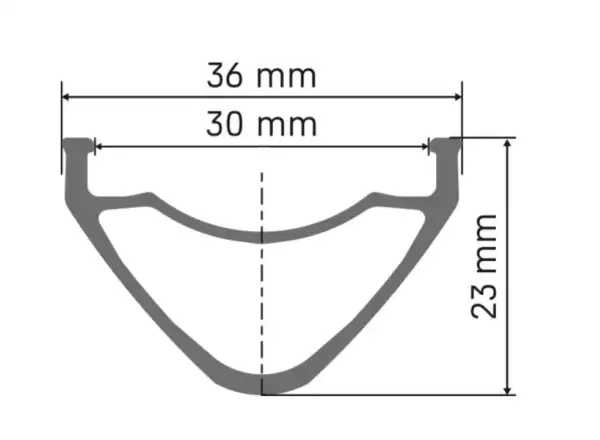 DT Swiss FR 571 Disc 29 MTB rim silver