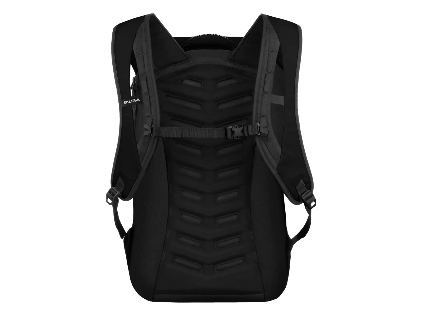 Salewa Fanes 18 l backpack Black Out