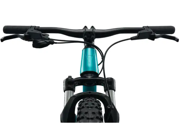 Giant STP 20 FS children's mountain bike Teal