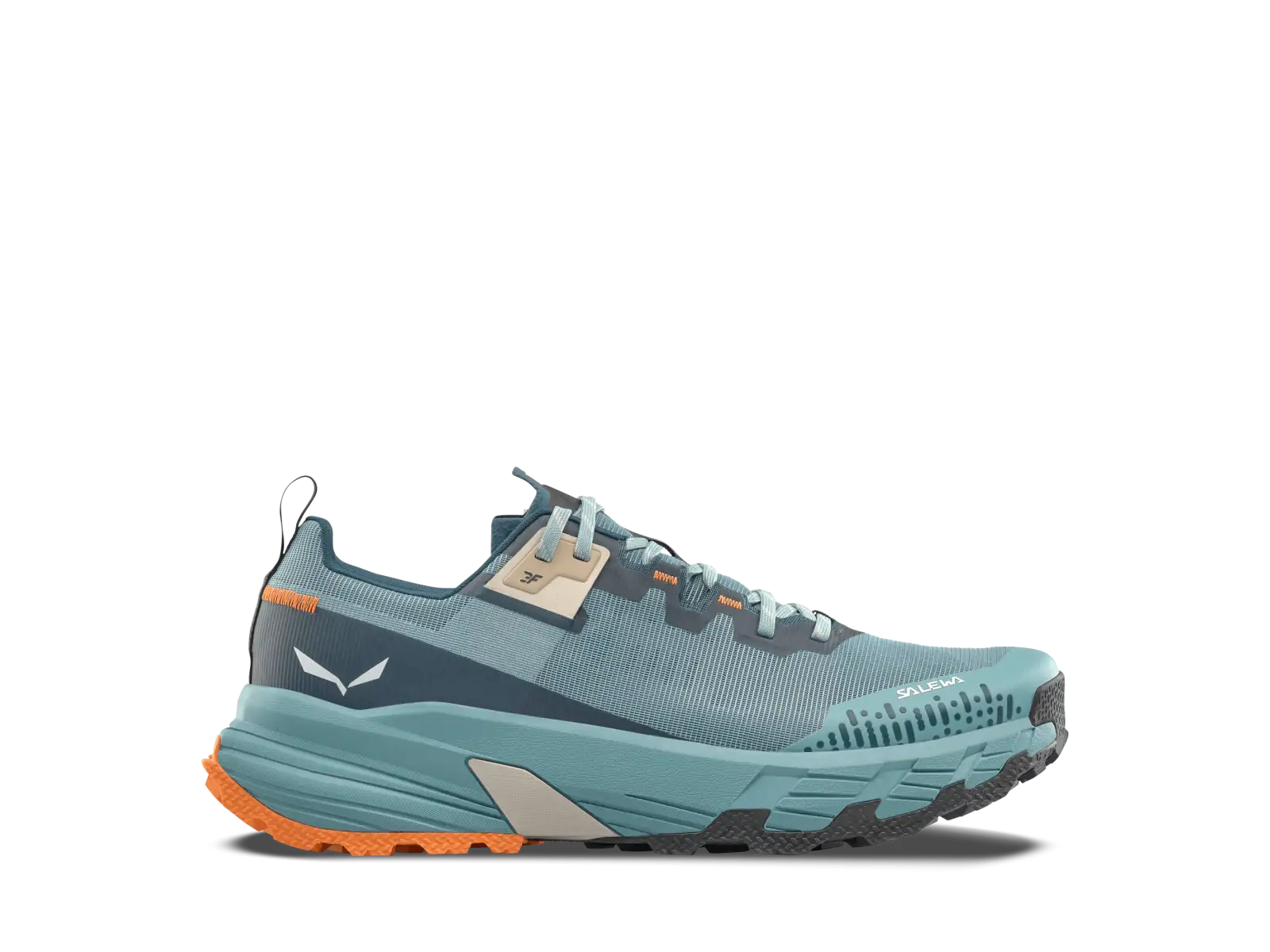 Salewa Pedroc 2 Max men's shoes Willow/Pond