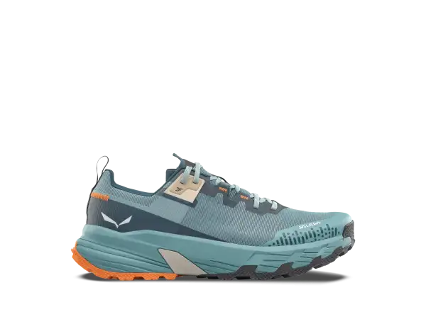 Salewa Pedroc 2 Max men's shoes Willow/Pond
