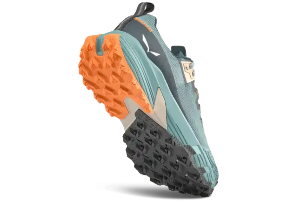 Salewa Pedroc 2 Max men's shoes Willow/Pond