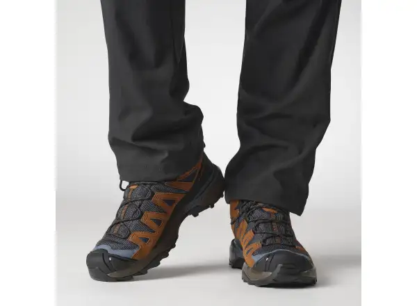 Salomon X Ultra 360 LDR MID GTX men's hiking boots Blue Nights/Caramel Cafe/Grisaille
