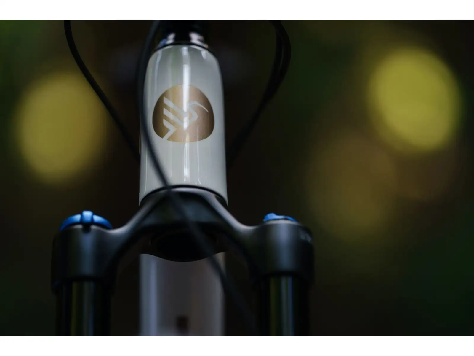 Ibis Exie V2 GX 29" mountain bike bone