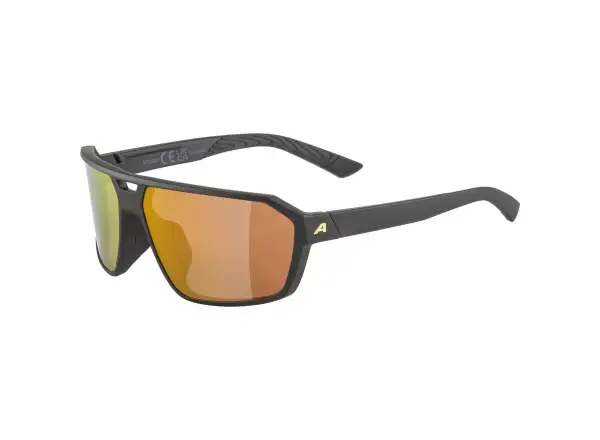 Alpina Swift glasses Black-Gold Matt