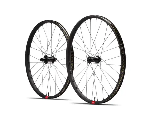 Reserve 30/SL DT 350 6-bolt 29" wheels XD driver