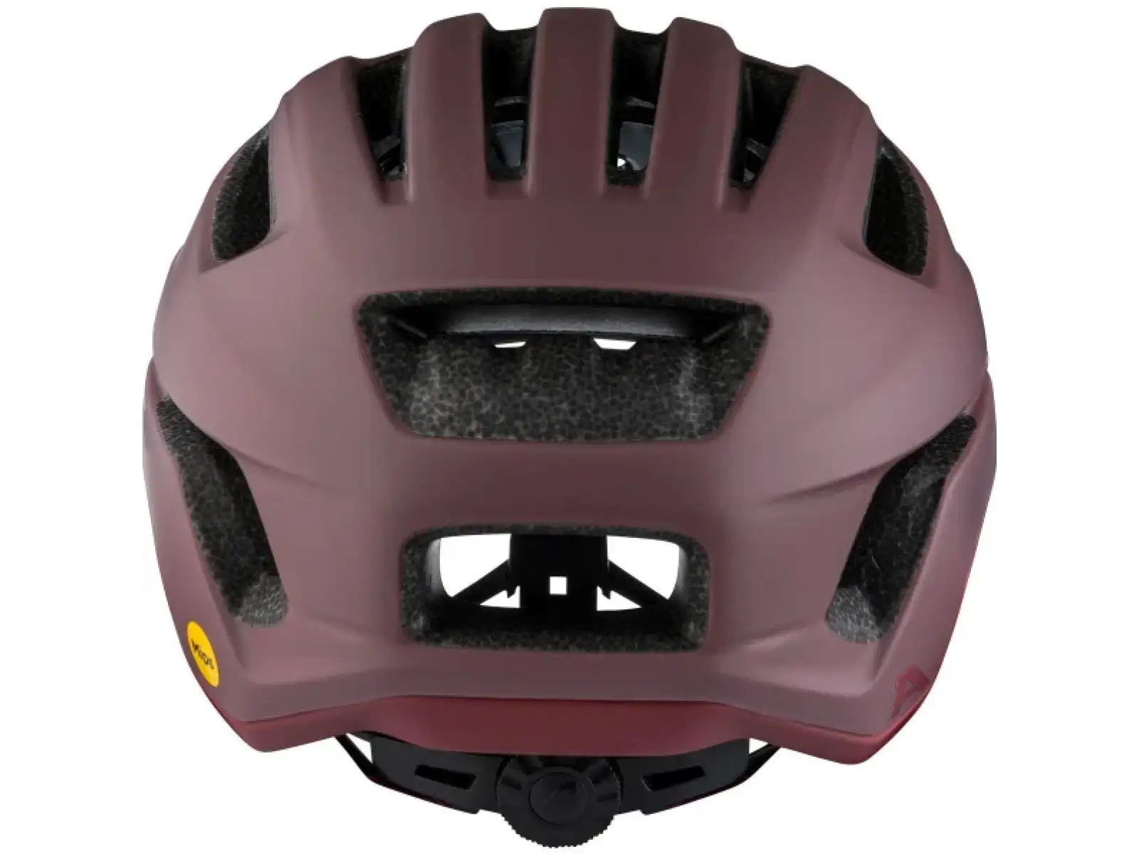 Alpina Paranus Mips helmet Raisin Matt
