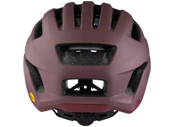 Alpina Paranus Mips helmet Raisin Matt