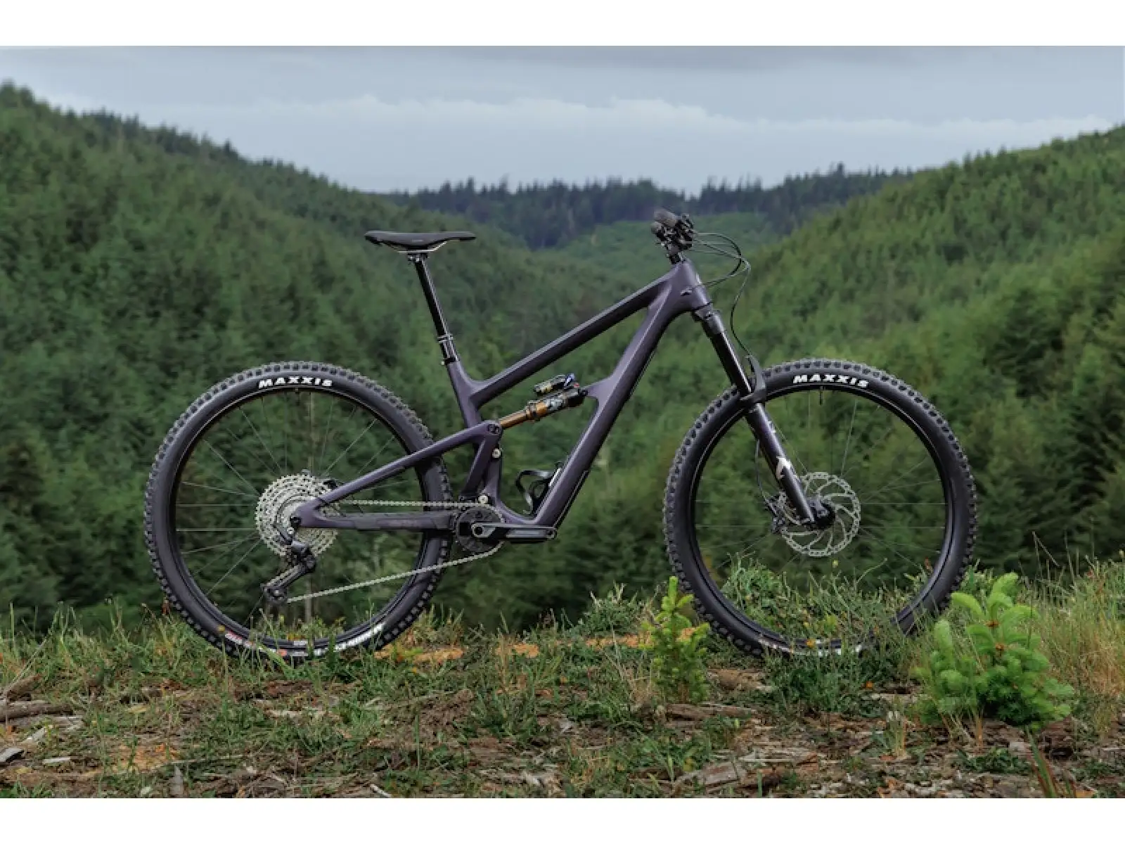 Ibis Ripmo V3 GX Eagle T-type AXS mountain bike Heckleberry Purple