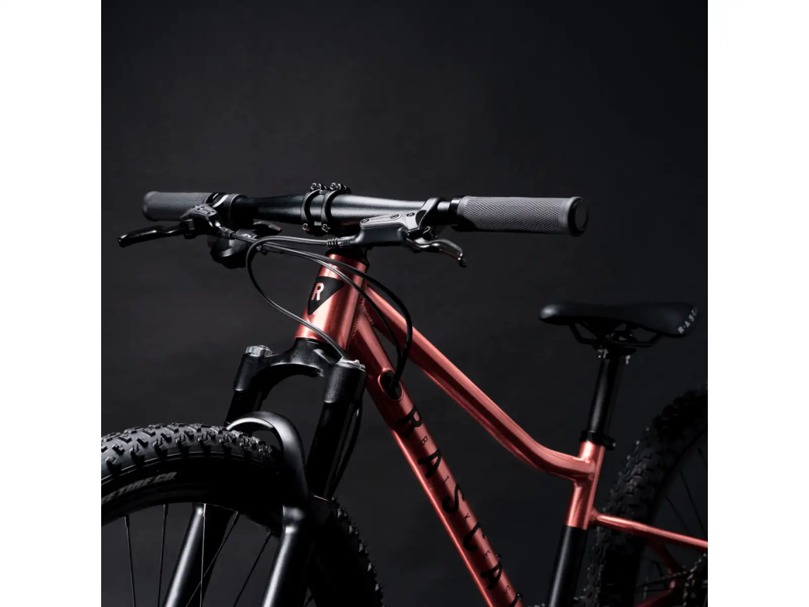 Rascal Wild 24 children's bike Bronze