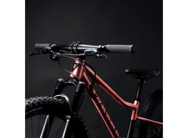 Rascal Wild 24 children's bike Bronze