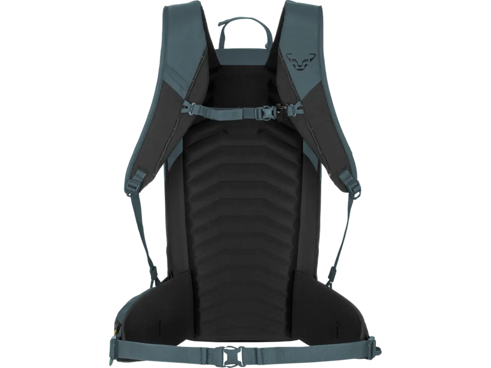 Dynafit Ridge ski touring backpack 26 l Cinder/Black Out