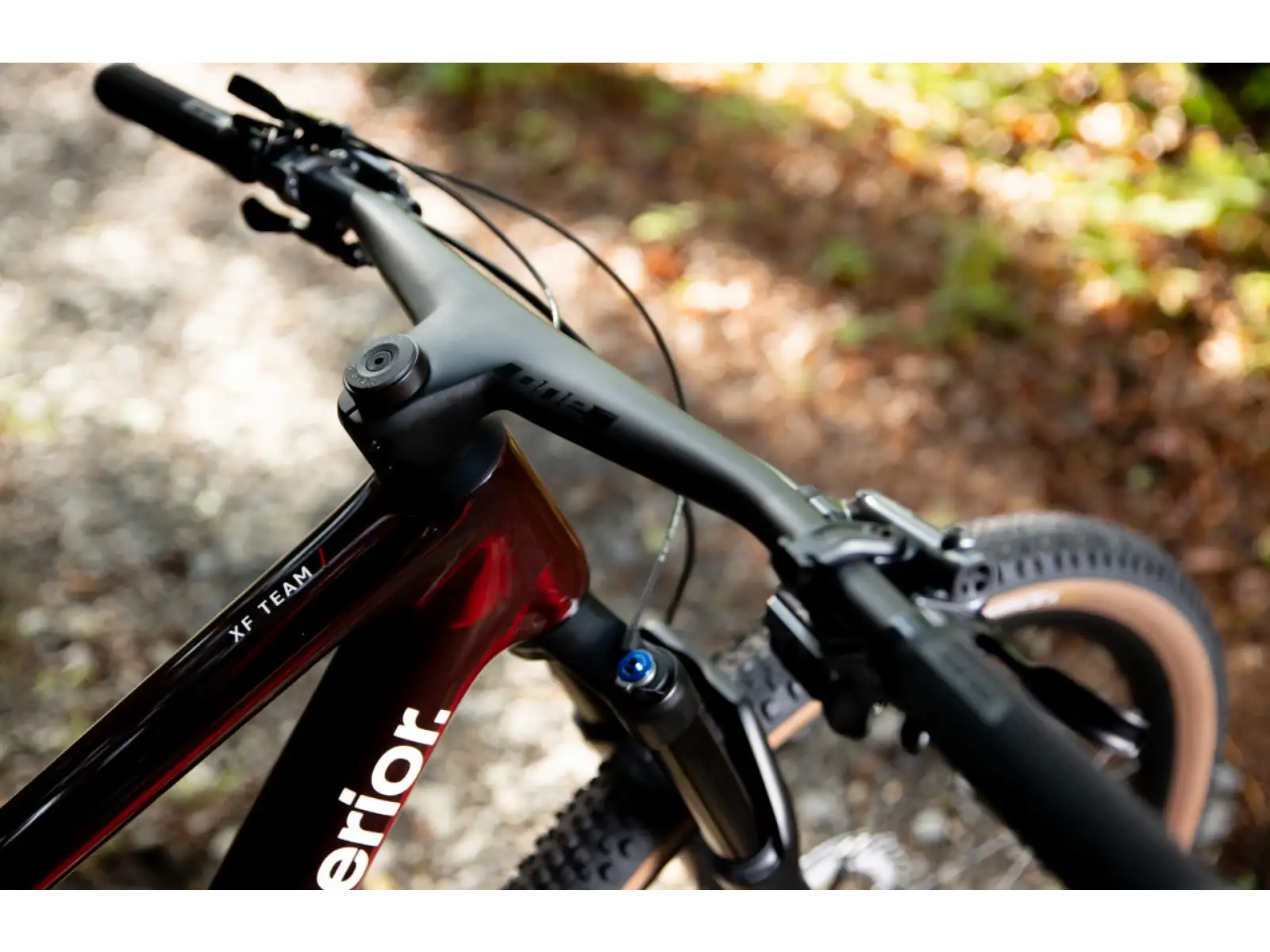 Superior XF 9.6 Team full suspension bike Gloss Carbon/Red Carbon