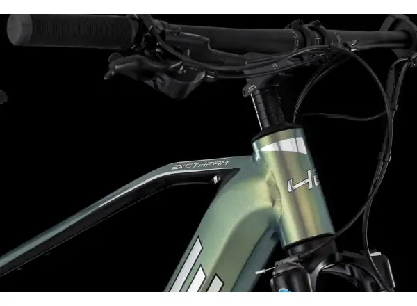 4EVER Exstream Team 820 mountain e-bike Snake green/hologram