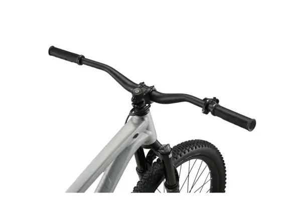 Giant STP 26 dirt bike Brush Aluminum
