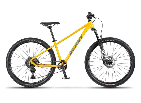 Beany Blaster 27.5 Gold kids' bike