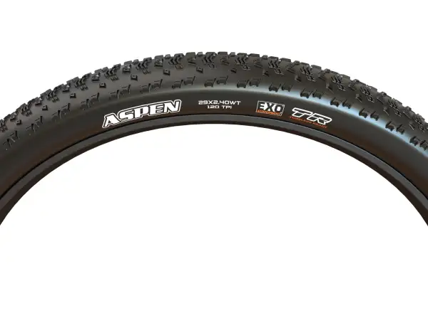 Maxxis Aspen MaxxSpeed EXO TR 29" tire kevlar