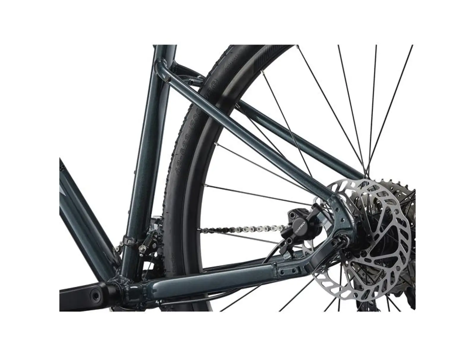 Giant Roam 2 Asphalt trekking bike Green
